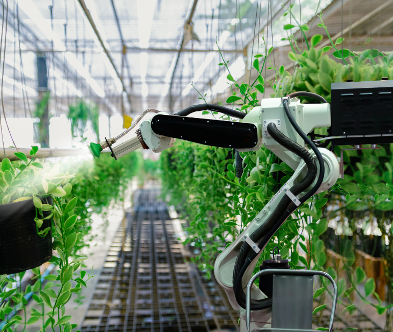 AI Crop Monitoring