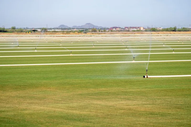 Let the Land Drink: Ancient Water Tricks That Are Saving Modern American Farms