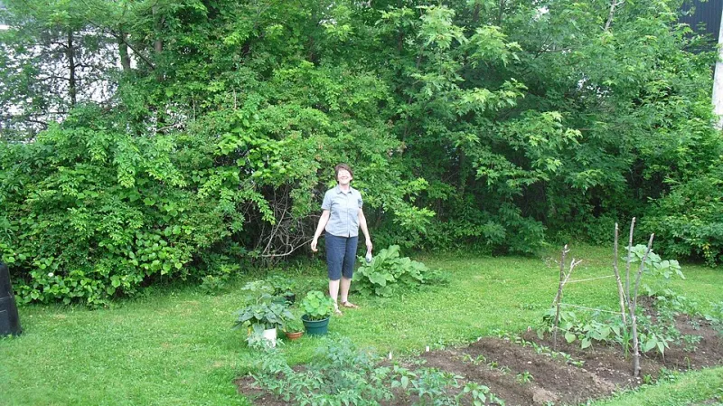 8 Regenerative Tricks from Working Farms That'll Transform Your Backyard Garden