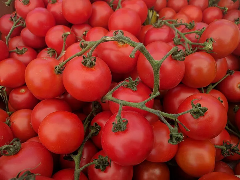 Why Cheap Tomatoes Are Actually the Most Expensive Thing in Your Cart